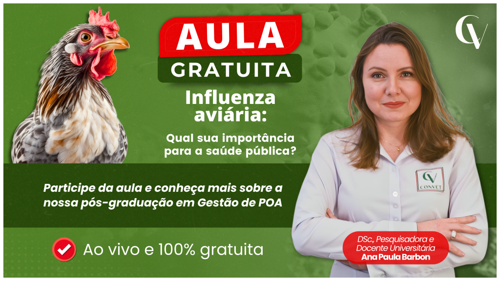 Arte de divulgação de aula gratuita sobre influenza aviária e sua importância para a saúde pública. À esquerda, há a imagem de uma galinha em destaque. À direita, aparece uma docente vestindo camisa branca com o logotipo da Convet. No centro, o texto informa que a aula é gratuita e convida os participantes a conhecerem mais sobre a pós-graduação em Gestão de POA. Na parte inferior, há a indicação de que a aula será ao vivo e 100% gratuita. O fundo é verde, com elementos gráficos relacionados à área da saúde e produção animal.