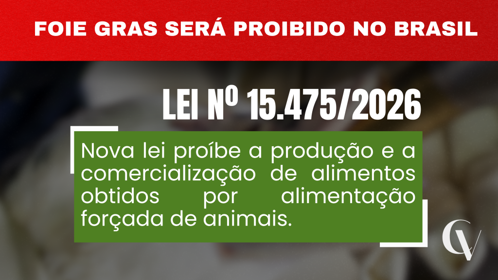 Arte informativa sobre a Lei nº 15.475/2026. Na parte superior, há uma faixa vermelha com o título "FOIE GRAS SERÁ PROIBIDO NO BRASIL". Ao centro, em destaque, aparece o texto "LEI Nº 15.475/2026". Abaixo, sobre um retângulo verde, está a informação: "Nova lei proíbe a produção e a comercialização de alimentos obtidos por alimentação forçada de animais." O fundo apresenta uma imagem desfocada de um prato com foie gras, e o logotipo da ConVet está no canto inferior direito.