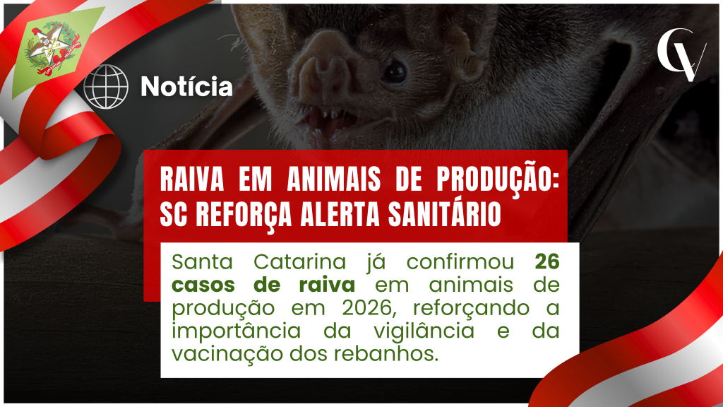 Arte de notícia com a foto de um morcego ao fundo e elementos nas cores da bandeira de Santa Catarina. O título destaca: "Raiva em animais de produção: SC reforça alerta sanitário". Abaixo, o texto informa que Santa Catarina já confirmou 26 casos de raiva em animais de produção em 2026, reforçando a importância da vigilância sanitária e da vacinação dos rebanhos. No canto superior esquerdo há o brasão do estado de Santa Catarina e o selo "Notícia", e no canto superior direito aparece o logotipo da Convet.