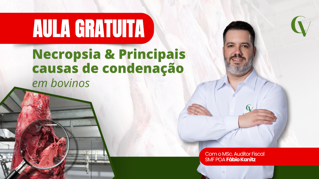 Card de divulgação de aula gratuita sobre necropsia e principais causas de condenação em bovinos, com imagem de carcaça bovina e do professor MSc. Auditor Fiscal SMF POA Fábio Kanitz.
