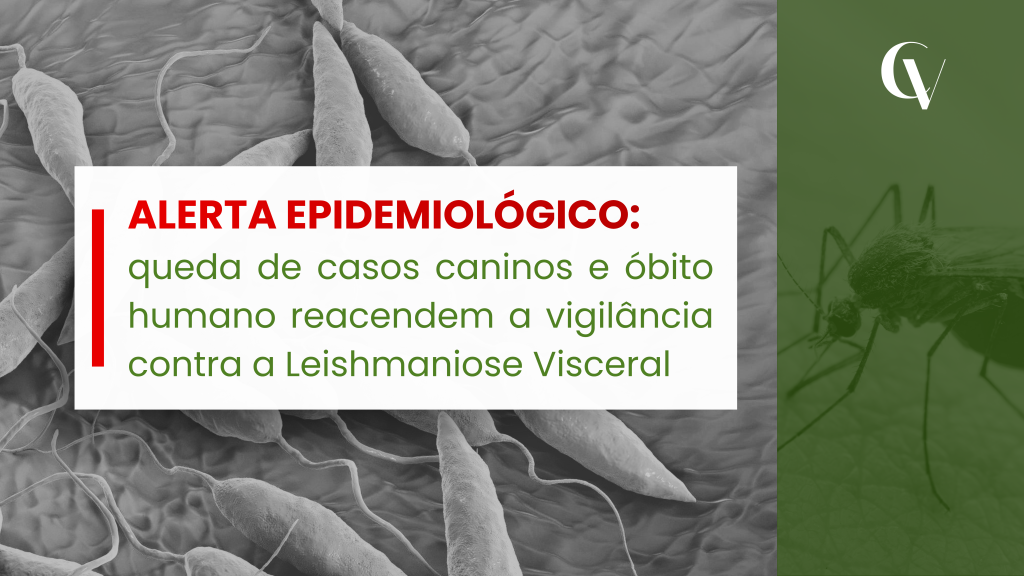 Alerta epidemiológico sobre Leishmaniose Visceral com ilustração microscópica do parasita Leishmania e vetor mosquito-palha.