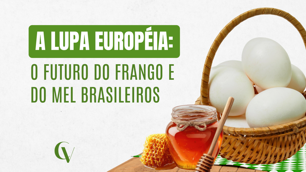 Imagem com fundo claro e elementos de ovos, mel e favo de mel, acompanhados do título em verde: “A Lupa Europeia: o futuro do frango e do mel brasileiros”. Logo da Convet na parte inferior.