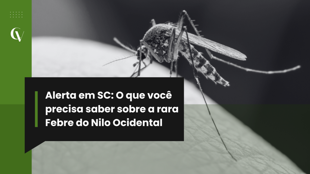 Alerta em Santa Catarina sobre a rara Febre do Nilo Ocidental, com imagem em preto e branco de um mosquito e destaque para a chamada: “O que você precisa saber sobre a rara Febre do Nilo Ocidental”.