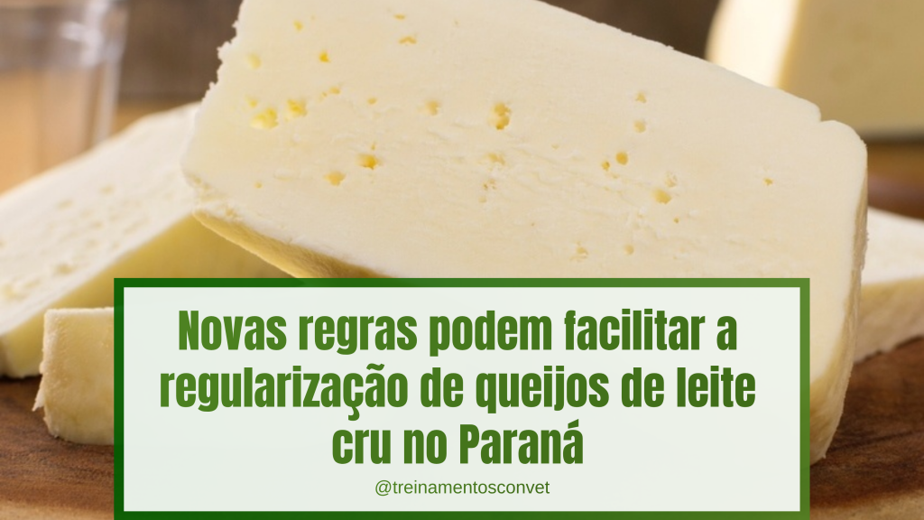 Queijos de leite cru em formato de peça, com destaque para texto informando que novas regras podem facilitar a regularização de queijos de leite cru no Paraná.