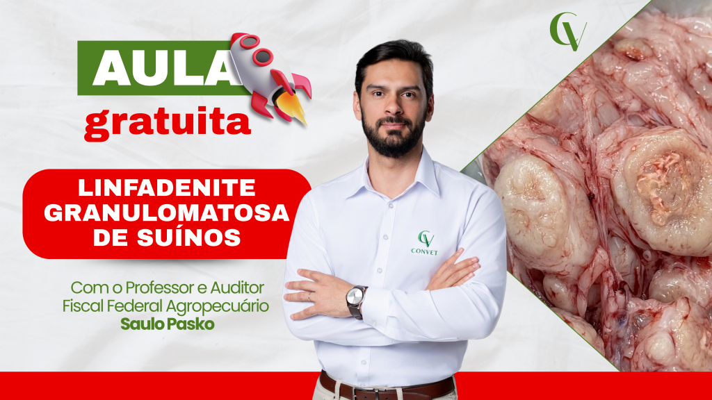 Banner de divulgação de uma aula gratuita sobre Linfadenite Granulomatosa de Suínos. À esquerda, o título "Aula gratuita" com um ícone de foguete e, abaixo, o tema da aula em destaque dentro de um retângulo vermelho. Na parte inferior, o texto informa: "Com o Professor e Auditor Fiscal Federal Agropecuário Saulo Pasko". Ao centro, o professor aparece de braços cruzados, vestindo camisa branca com o logotipo da Convet. À direita, há uma fotografia em close de linfonodos de suíno apresentando lesões granulomatosas características, ilustrando o conteúdo da aula. O logotipo da Convet está no canto superior direito.