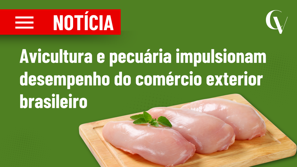 Arte com fundo verde e título “Notícia: Avicultura e pecuária impulsionam desempenho do comércio exterior brasileiro”. Na parte inferior direita, há quatro filés de peito de frango crus sobre uma tábua de madeira, decorados com um ramo de ervas. No canto superior direito, aparece o logotipo da empresa.