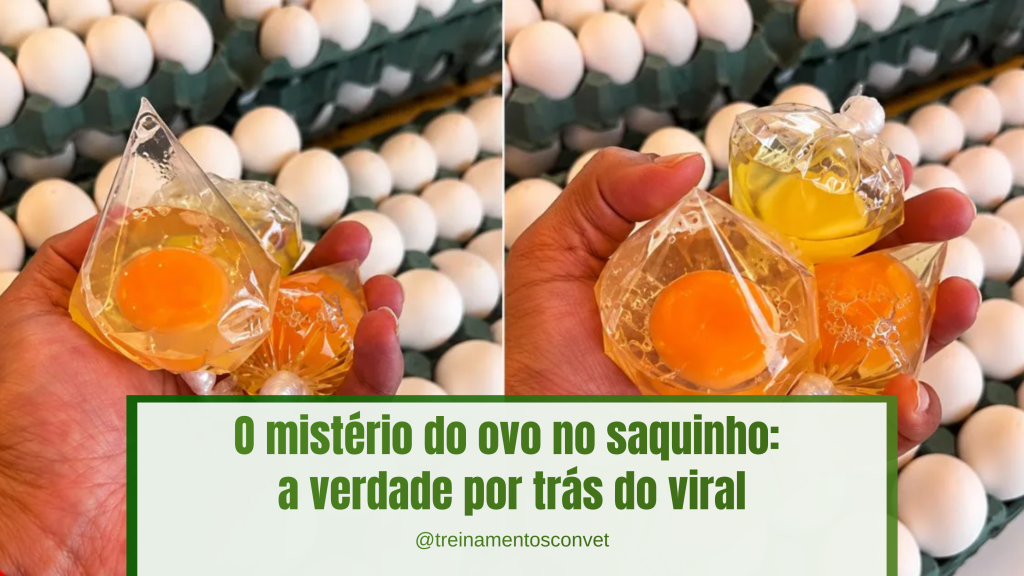 Imagem com ovos ao fundo e uma mão segurando pequenos saquinhos transparentes contendo ovos e gemas, acompanhada do texto: “O mistério do ovo no saquinho: a verdade por trás do viral”. A arte também exibe o perfil @treinamentosconvet.
