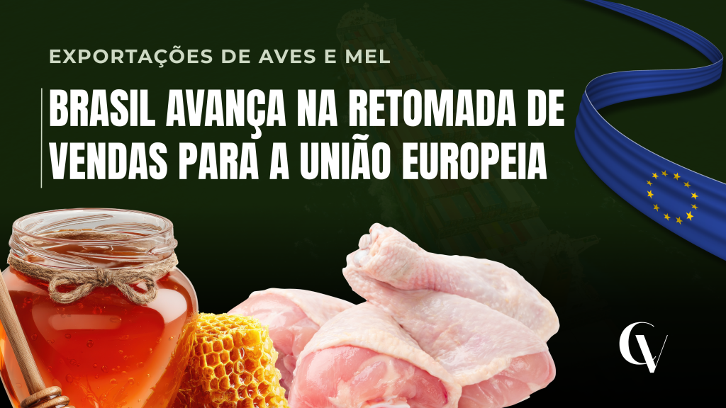 Banner digital com fundo escuro mostrando potes de mel com favos à esquerda e pedaços de frango cru ao centro. Na parte superior, lê-se a categoria em letras douradas "EXPORTAÇÕES DE AVES E MEL", seguida pelo título principal em grandes letras brancas: "BRASIL AVANÇA NA RETOMADA DE VENDAS PARA A UNIÃO EUROPEIA". À direita, há uma fita azul com as estrelas amarelas da bandeira da União Europeia e, no canto inferior direito, o logotipo da marca.