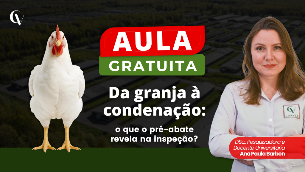 Aula gratuita sobre inspeção de aves, com galinha, Ana Paula Barbon e tema sobre pré abate e condenação