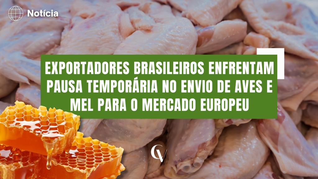 Arte de notícia com imagem de pedaços de frango cru ao fundo e favos de mel com mel escorrendo no canto inferior esquerdo. No centro, um destaque verde traz o texto: “Exportadores brasileiros enfrentam pausa temporária no envio de aves e mel para o mercado europeu”. No canto superior esquerdo, há um ícone de globo e a palavra “Notícia”, e na parte inferior central aparece o logotipo da Convet.